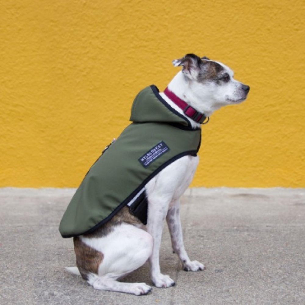 Wildebeest dog raincoat